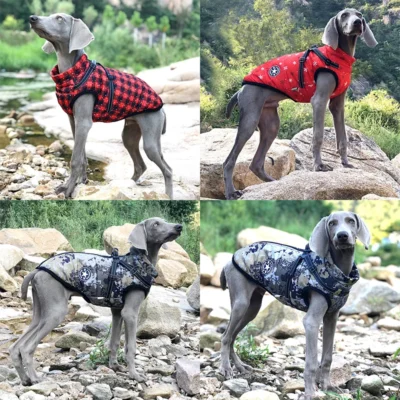 Large Pet Dog Jacket With Harness Winter Warm Dog Clothes For Labrador Waterproof Big Dog Coat Chihuahua French Bulldog Outfits 3