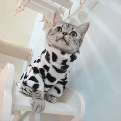 2023 New Hairless Cat Sweater Winter Fashion Thickening Warm Sphynx Clothes Home Comfortable Winter Dog Clothes for Small Dogs 5