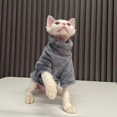 2023 New Hairless Cat Sweater Winter Fashion Thickening Warm Sphynx Clothes Home Comfortable Winter Dog Clothes for Small Dogs 3