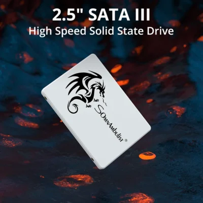 SomnAmbulist SSD 2.5 64GB 128GB 256GB 512GB 1TB for Laptop Desktop Solid State Drive Sata3 120GB 240GB 480GB 960GB 2T 2