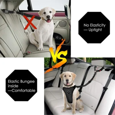 Reflective Pet Dog Car Seat Belt Puppy Dog Walking Travel Car Accessories Dog Leash Harness for Small Dogs Pet Car Supplies 5