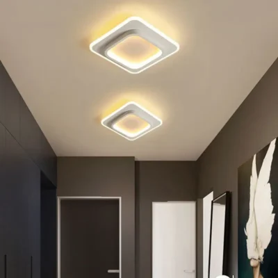 1 PC Modern LED Ceiling Light Tri-Color Dimming AC220V Surface Mount Suitable for Bedroom Hallway Living Room Pendant Light 5