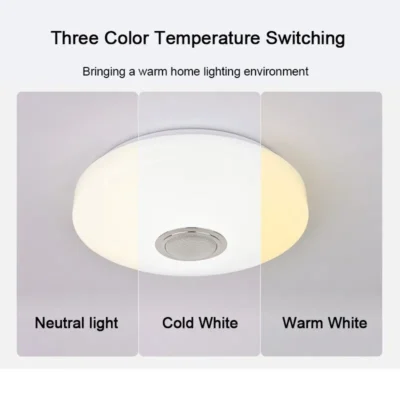 Modern Ceiling Lamps RGB Dimming Home Lighting APP Bluetooth Music Light 42W 60W Smart Ceiling Lights With Remote Control AC220V 5