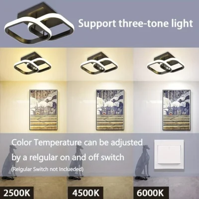 1 PC Modern LED Ceiling Light Tri-Color Dimming AC220V Surface Mount Suitable for Bedroom Hallway Living Room Pendant Light 3